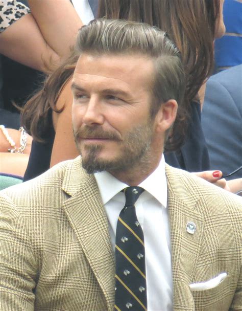 david beckham wiki